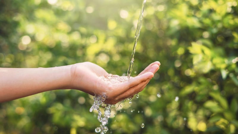 En el día internacional del medio ambiente recuerda que debes ahorrar agua